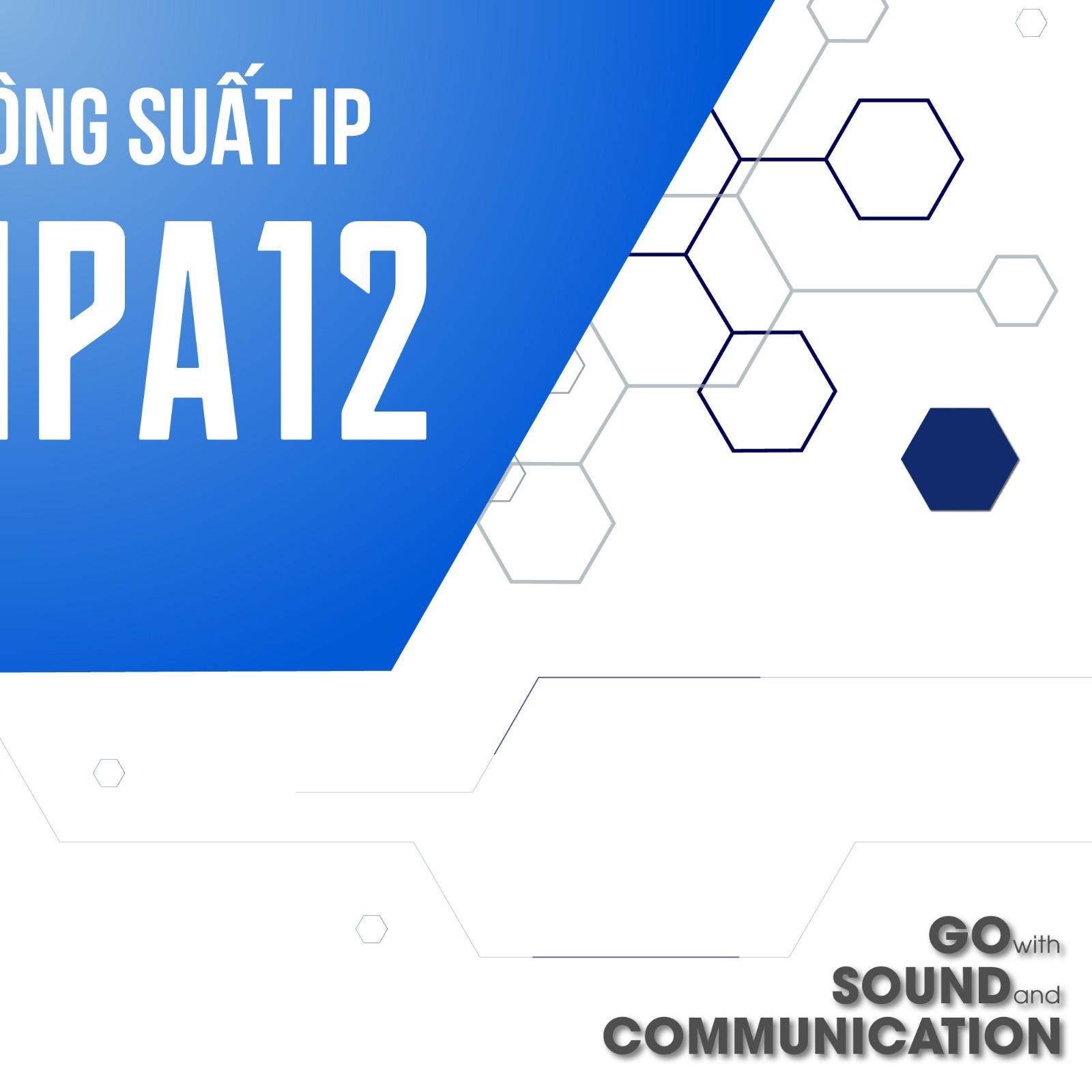 IP-A1PA12-4.jpg